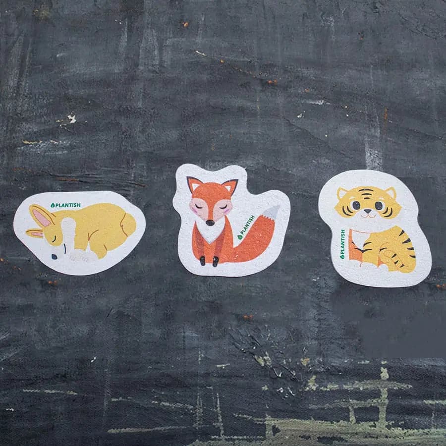 Set of 3 Barks and Roars Pop up Sponges