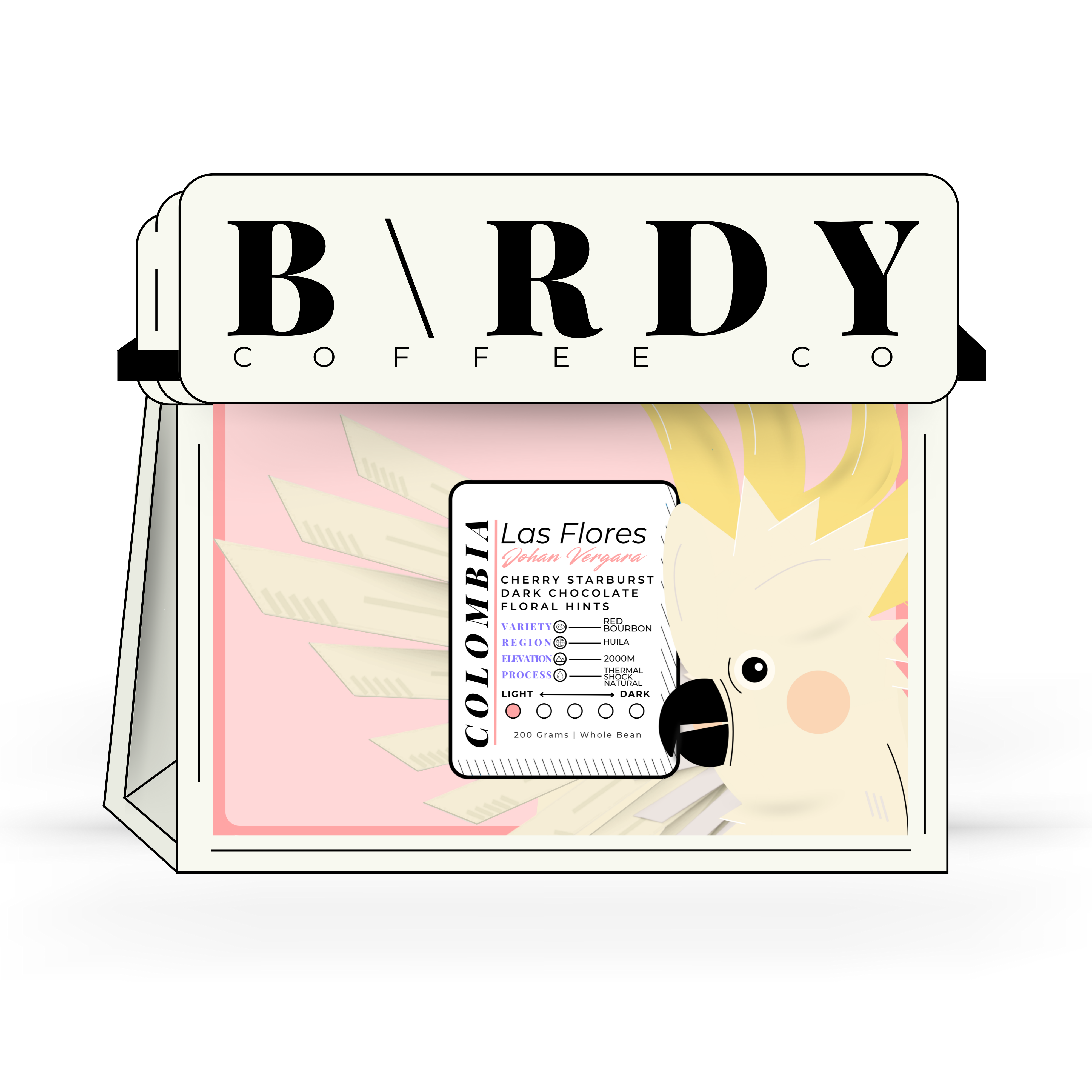 COLOMB\A | Las Flores x Johan Vergara