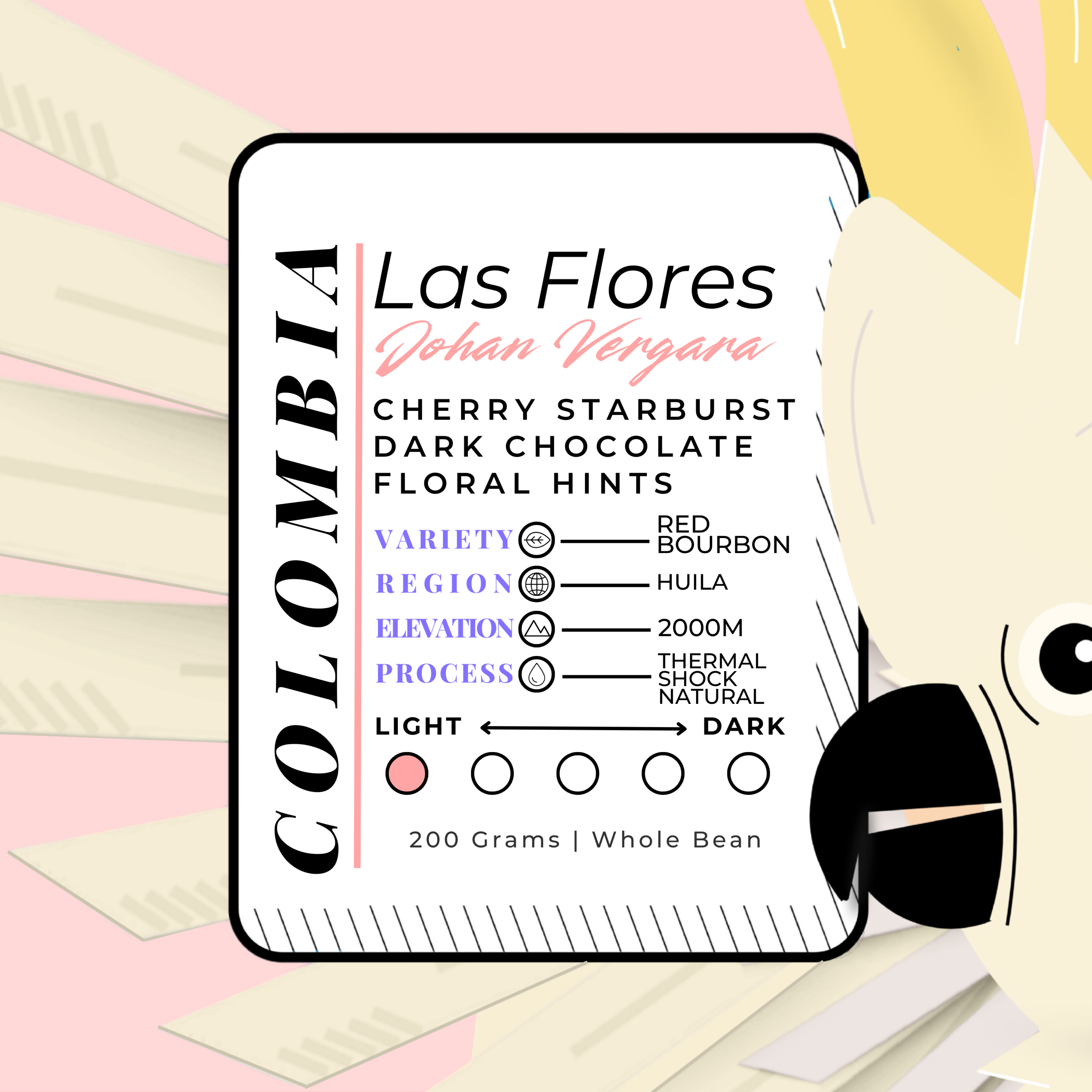COLOMB\A | Las Flores x Johan Vergara