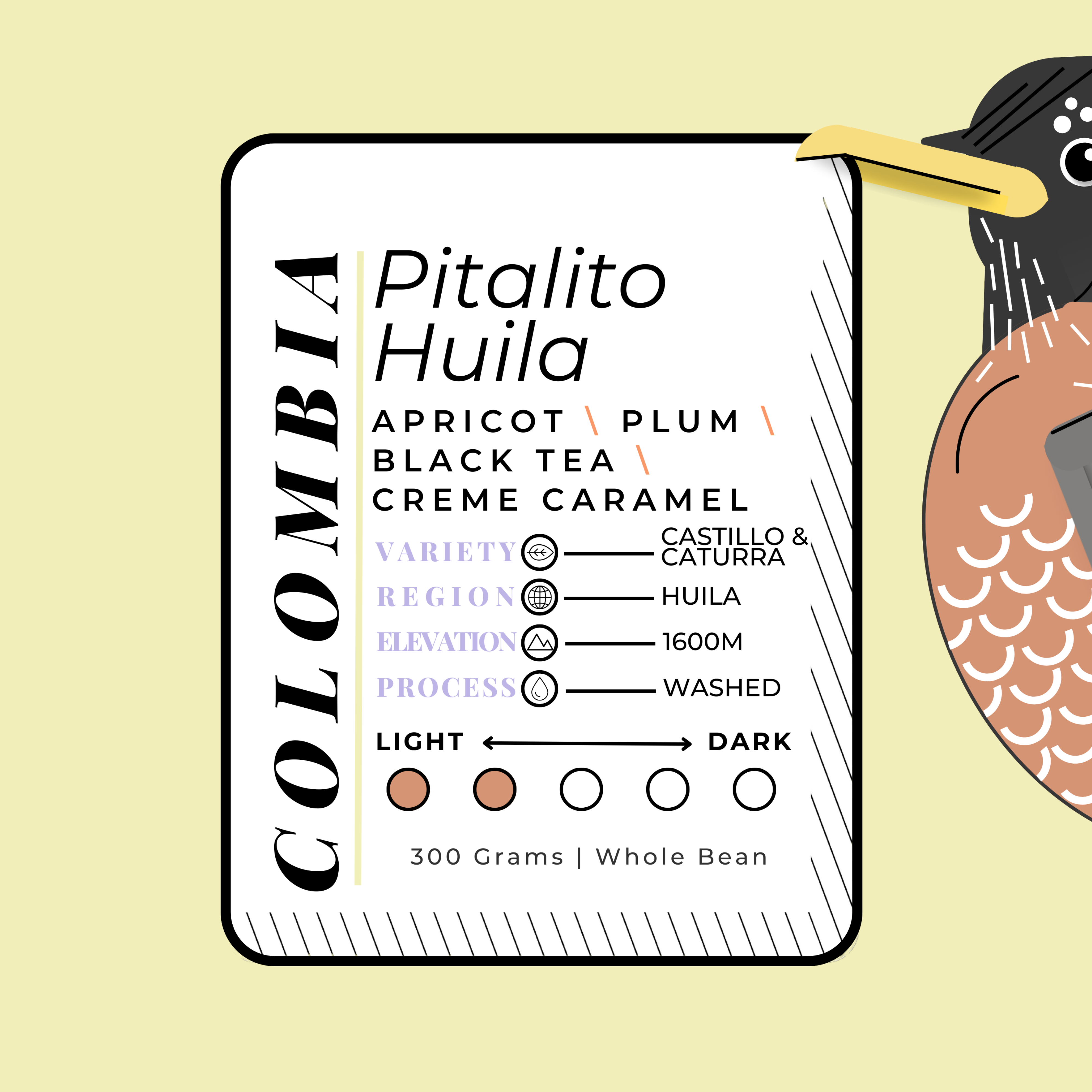 COLOMB\A | Pitalito Huila