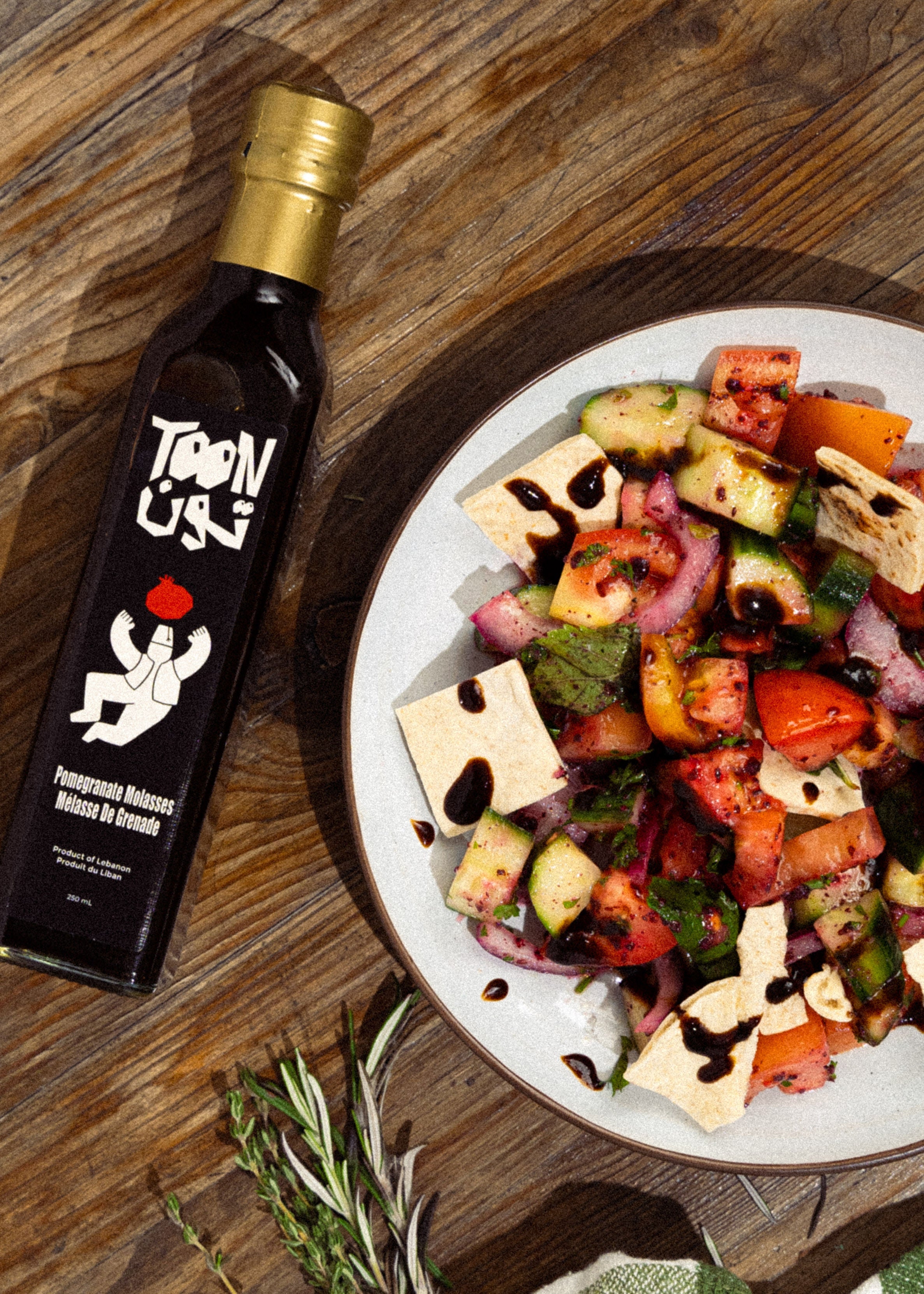 TOON Signature Bundle