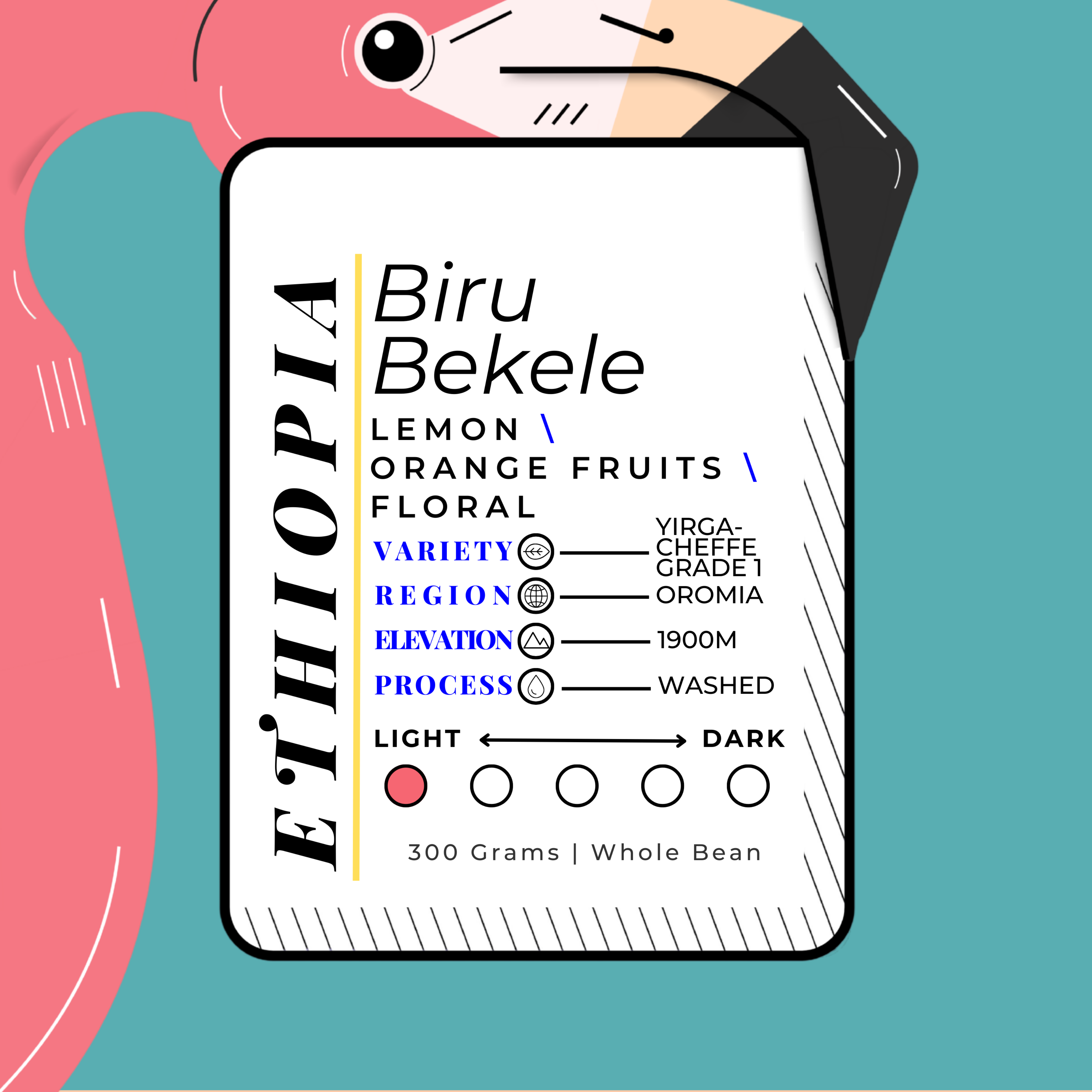 ETH\OPIA | Biru Bekele