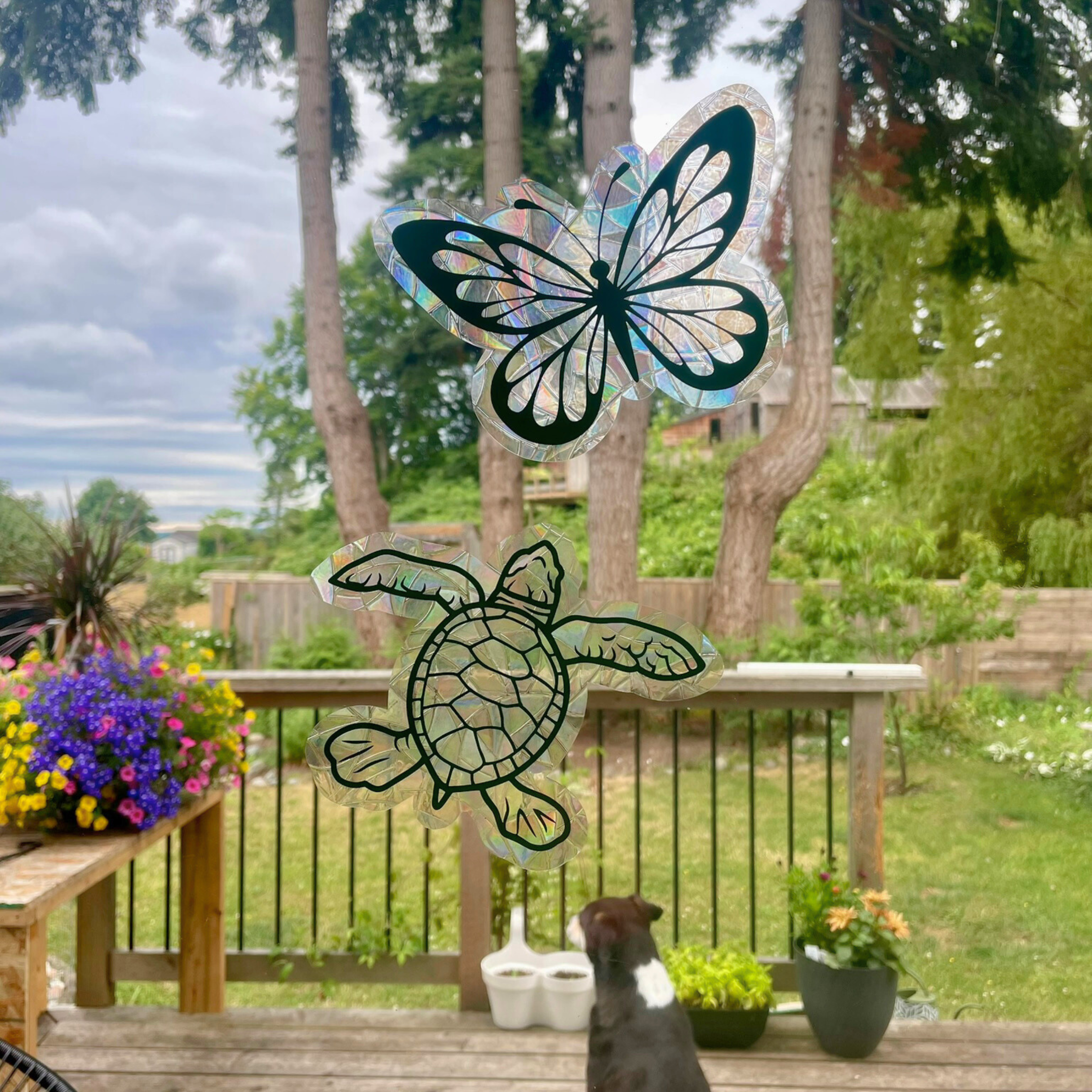 Turtle Suncatcher Sticker