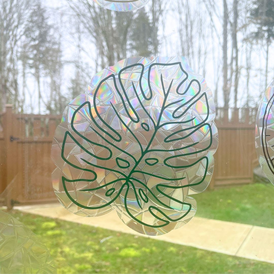 Monstera Leaf Suncatcher Sticker