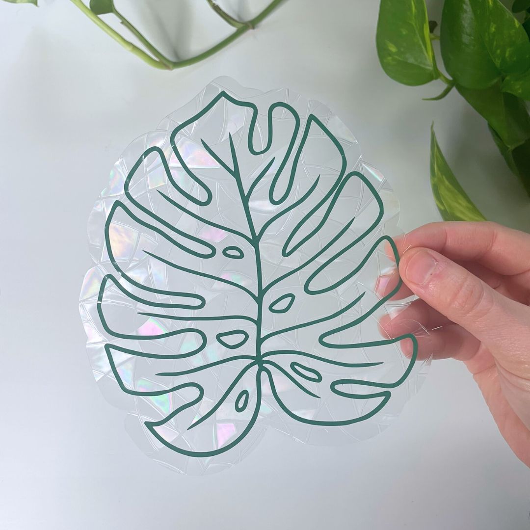 Monstera Leaf Suncatcher Sticker