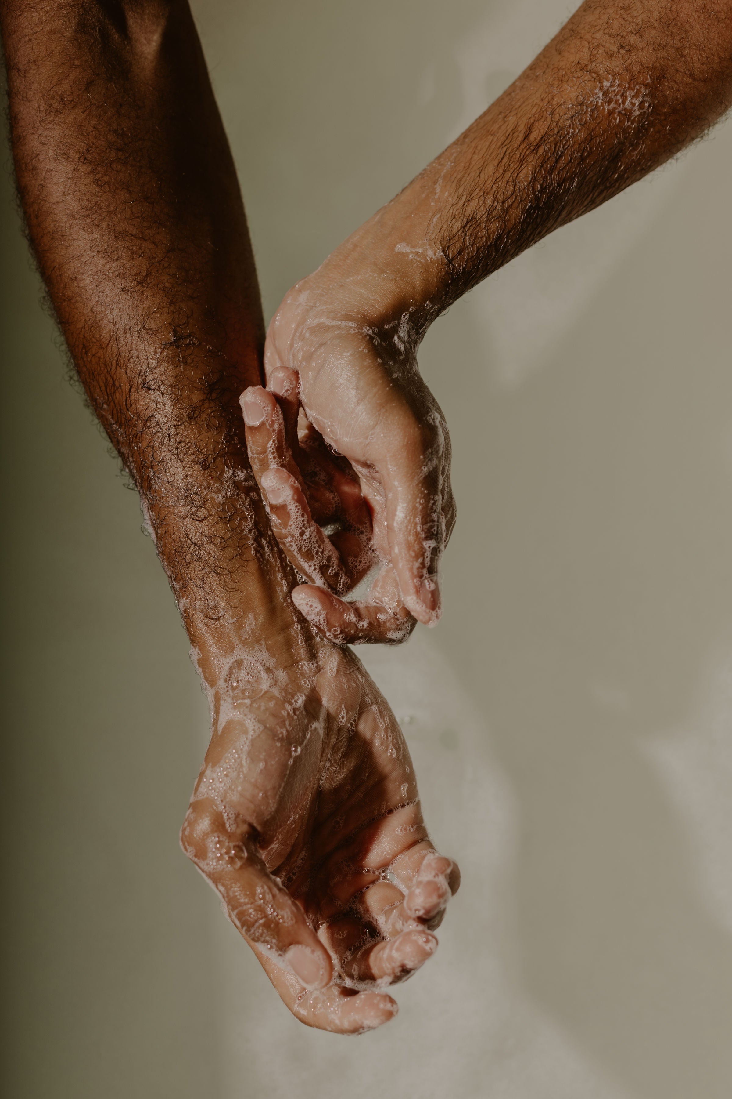 Cedarleaf & Cardamom Hand and Body Wash
