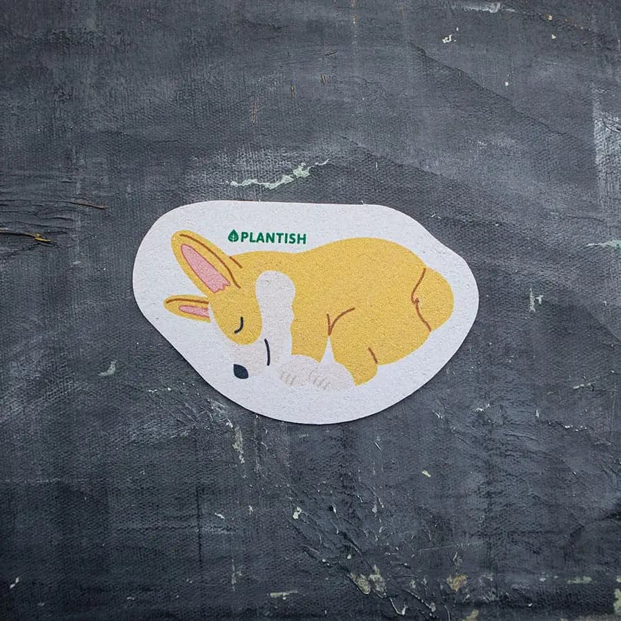 Corgi - Pop up Sponge