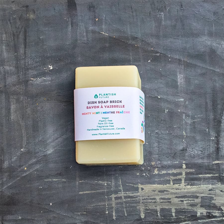 Solid Dish Soap Pride Sponge Set